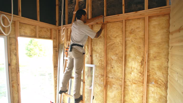 Best Basement Insulation  in Fritch, TX